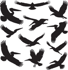 Silhouettes of various birds in flight pelicans eagles