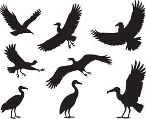 Obraz premium Black silhouettes of various birds in flight and resting