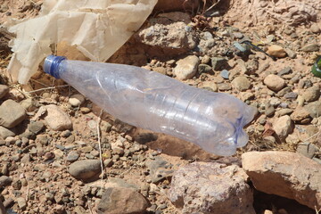 A plastic bottle lying on the ground, Plastic pollution, Plastic environmental impact