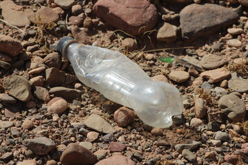 A plastic bottle lying on the ground, Plastic pollution, Plastic environmental impact