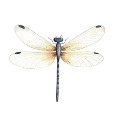 Detailed Watercolor Dragonfly with Delicate Wings and Black Spot Accents