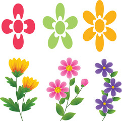 set of colorful flowers vector