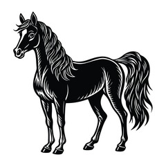 black horse vector illustration
