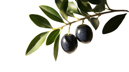 Delicious olive cut out on white background PNG