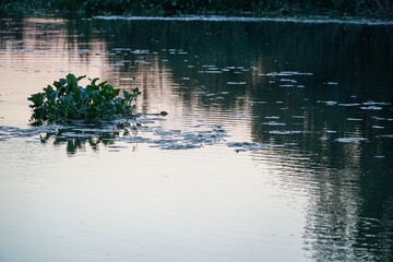 water reflection in water