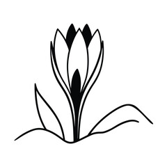 Crocus Bloom Peeking Through Snow