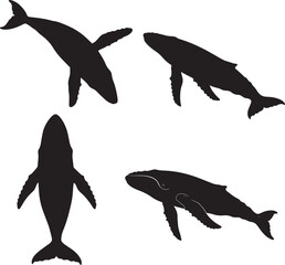 Whales swimming ocean mammals silhouette vector illustration