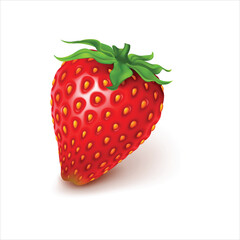 Strawberry fruit isolated on white background