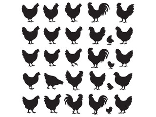 Chicken Silhouette Icon Set Poultry Farm And Livestock Animal Symbols







