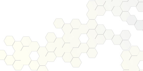 Abstract Technology White Geometric Hexagon on Transparent Concept Design, Honeycomb Shape Vector.