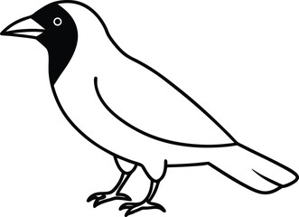 Obraz premium line art of a crow on the white background 1