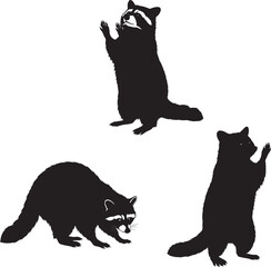Cute raccoons in multiple poses silhouette vector illustration
