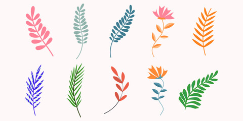 Colorful botanical elements vector illustration set with leaves branches flowers