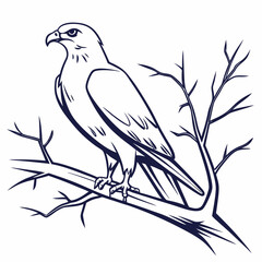 bird on branch