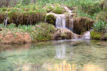 Naklejka premium Small waterfall surrounded by vegetation