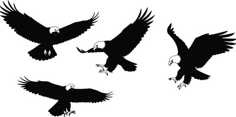 Obraz premium Majestic Eagle Silhouette Illustration Vector Art Set