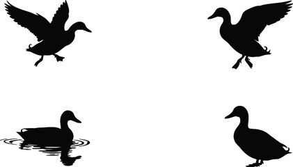 Obraz premium Duck Silhouette Illustration Vector Graphics Set of Four