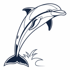 dolphin vector illustration