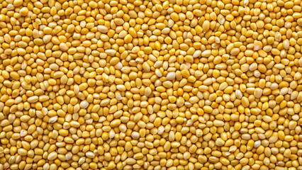 yellow corn background. generated with AI