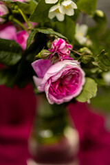 A bouquet of bush roses and fragrant garden jasmine in a glass vase macro