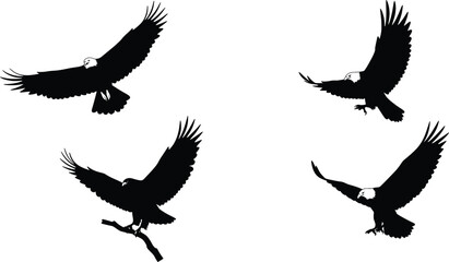 Fototapeta premium Majestic Eagle Silhouettes Vector Illustration Set