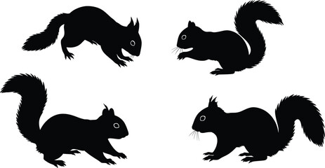 Squirrel Silhouette Illustration Vector Graphics Set