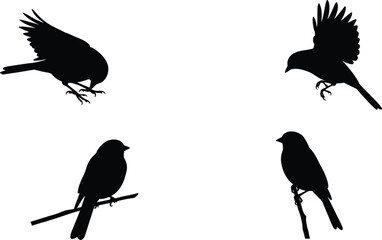 Fototapeta premium Elegant Bird Silhouettes Vector Illustration Set