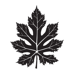 Autumn yellow and orange maple leaf and oak leaves isolated on white, perfect for fall nature designs