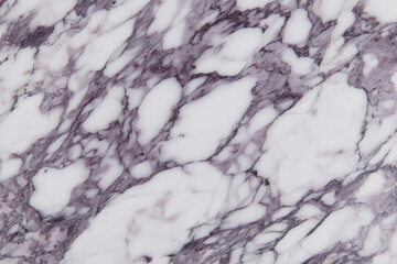 Calacatta Viola Marble Texture 