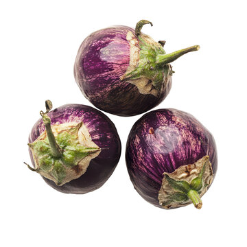 Eggplant on white, High angle view of eggplant, Vaslui, Romania, isolated on on transparent background