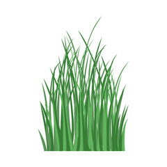 Realistic Green Grass Illustration with Transparent Background Element in Different Shapes and Styles for Landscape Design	
