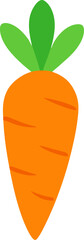Vibrant orange carrot illustration with green leaves perfect for healthy eating concepts