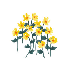 bouquet of yellow flowers watercolor