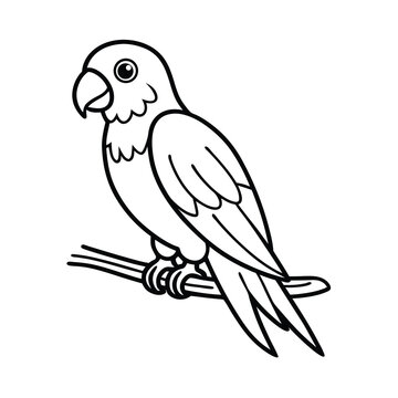 parrot on white background cute parrot on branch coloring page