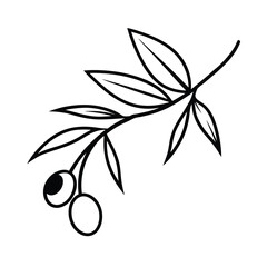 Twisted Olive Branch with Ripe Fruit