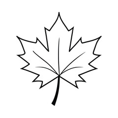 Maple Leaf in Brilliant Autumn Colors