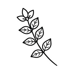 Sprig of Oregano with Clustered Leaves