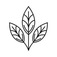 Organic Leafy Shapes for Plant Based Food Brand