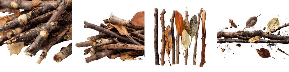 Set of dry twigs and forest sticks with earthy tones isolated on transparent background