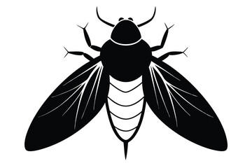 vector mosquito isolated on white background