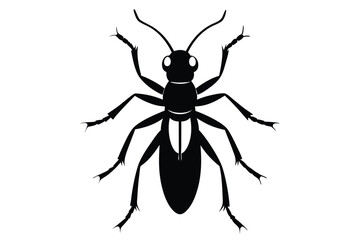 vector illustration of a black beetle