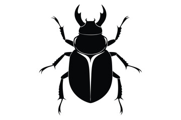 black beetle isolated on white background