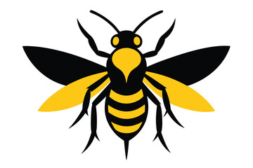 bee vector illustration