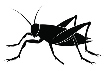 vector silhouette of a spider