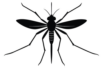 dragonfly silhouette vector illustration