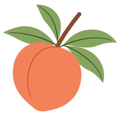 Peach whole fruit with leaves isolated on a white background. Cartoon icon for package design. Vector illustration of tropical fruits in flat style