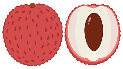 Lychee whole fruit with leaves isolated on a white background. Litchi chinensis cartoon icon for package design. Vector illustration of tropical fruits in flat style