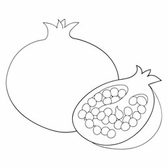 Pomegranate coloring page simple and minimal line art illustration on white background