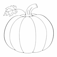 Pumpkin coloring page simple and minimal line art illustration on white background