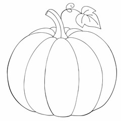 Pumpkin coloring page simple and minimal line art illustration on white background